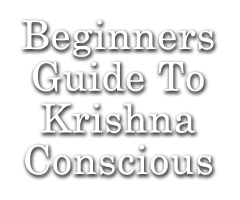 Beginners Guide To Krishna Conscious